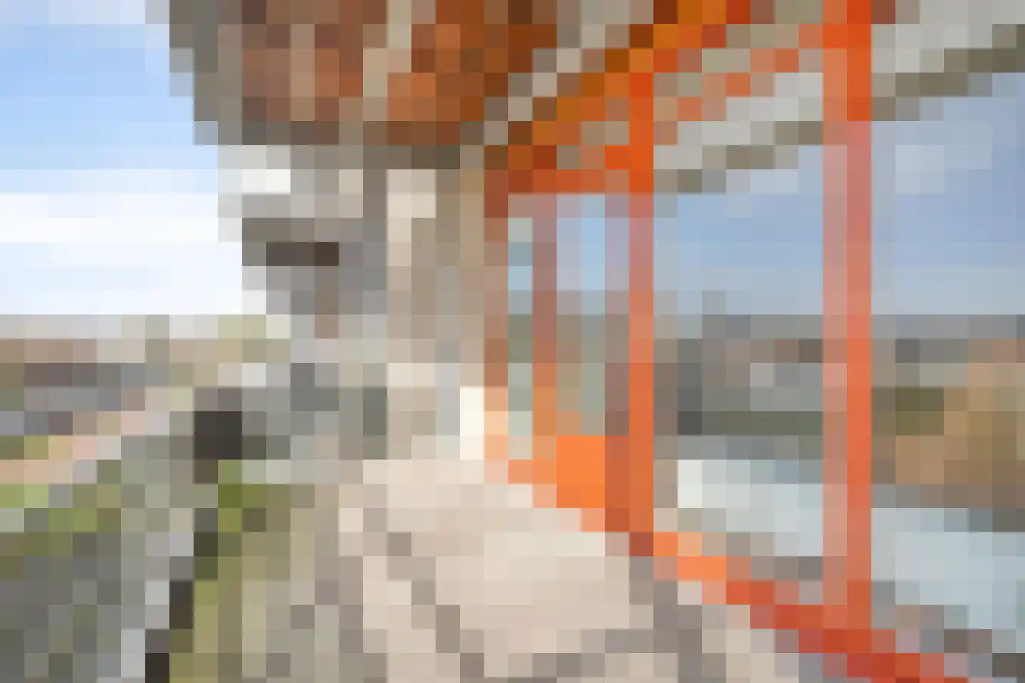 Plecht 88 Bunschoten-Spakenburg thumbnail 16