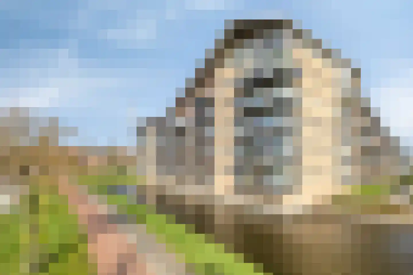 Plecht 88 Bunschoten-Spakenburg thumbnail 31