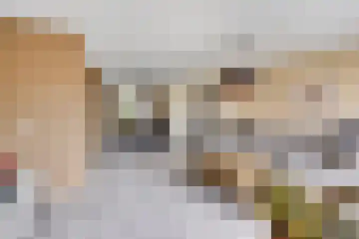 Plecht 9 Oss foto 3