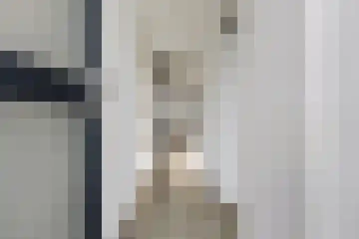 Pleiaden 9 Hoogezand thumbnail 11