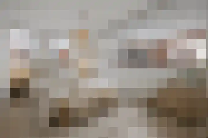 Pleiaden 9 Hoogezand thumbnail 19