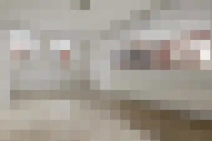 Pleiaden 9 Hoogezand thumbnail 20