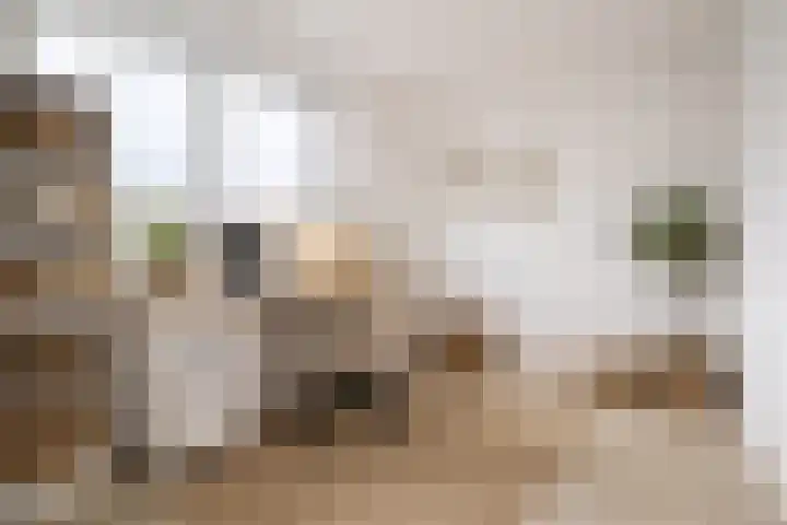 Pleiaden 9 Hoogezand thumbnail 24