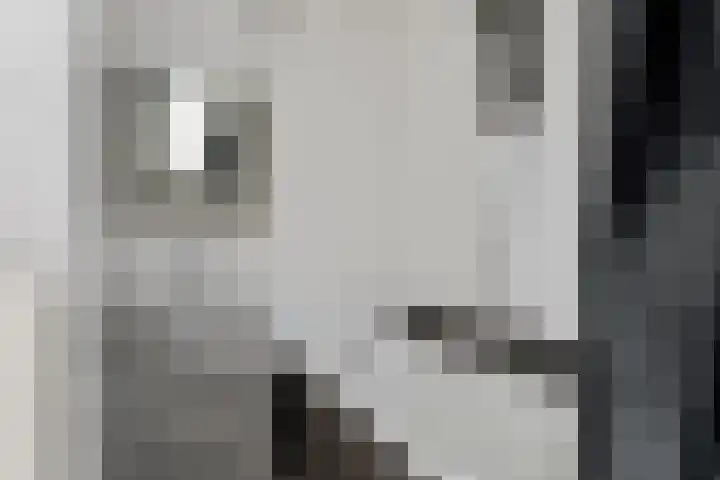 Pleiaden 9 Hoogezand thumbnail 29