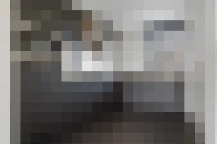 Pleiaden 9 Hoogezand thumbnail 4