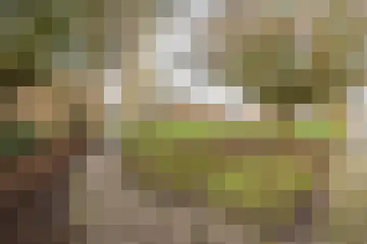 Pleiaden 9 Hoogezand thumbnail 44
