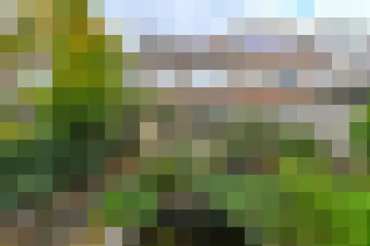 Pleiadenstraat 30 Haarlem thumbnail 28