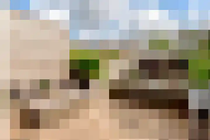 Pleiadenstraat 32 Haarlem thumbnail 25