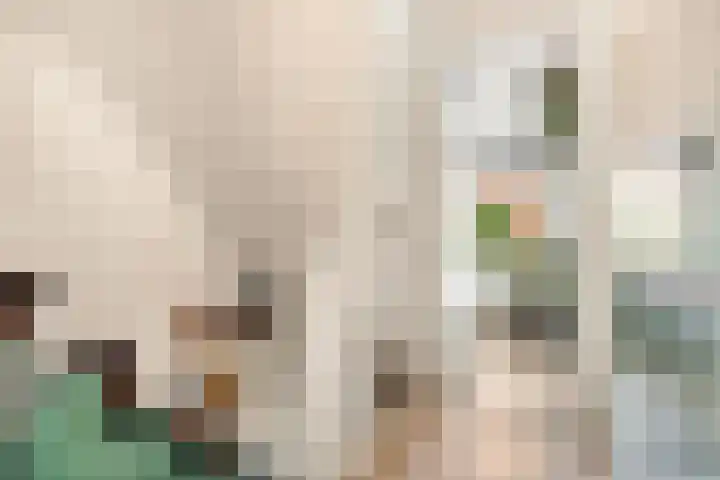 Pleiadenstraat 32 Haarlem thumbnail 36