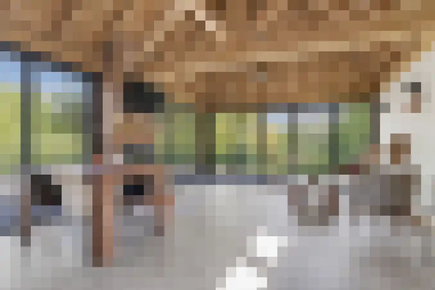 Pleijdijk 3 Westervoort thumbnail 28