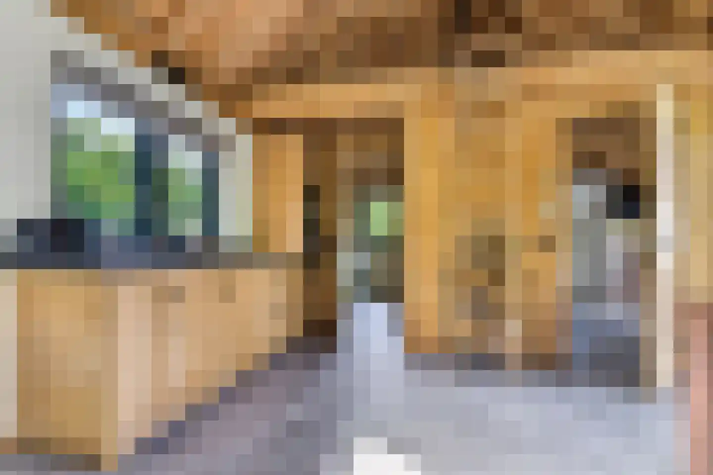 Pleijdijk 3 Westervoort thumbnail 33