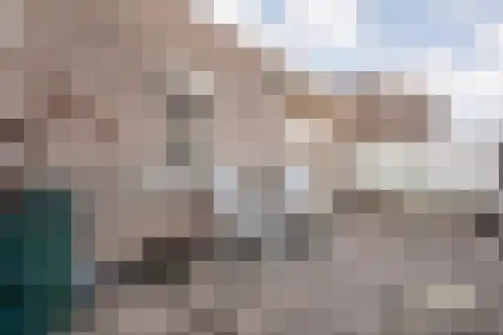 Pleijendal 119 Dalfsen thumbnail 31