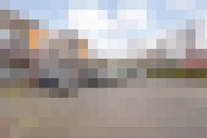 Pleijendal 119 Dalfsen thumbnail 36