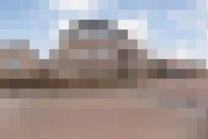 Pleijendal 119 Dalfsen thumbnail 38