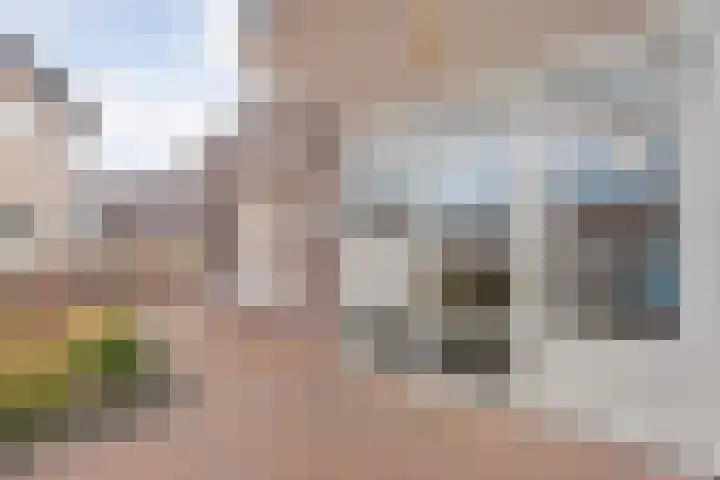 Pleijendal 119 Dalfsen thumbnail 6