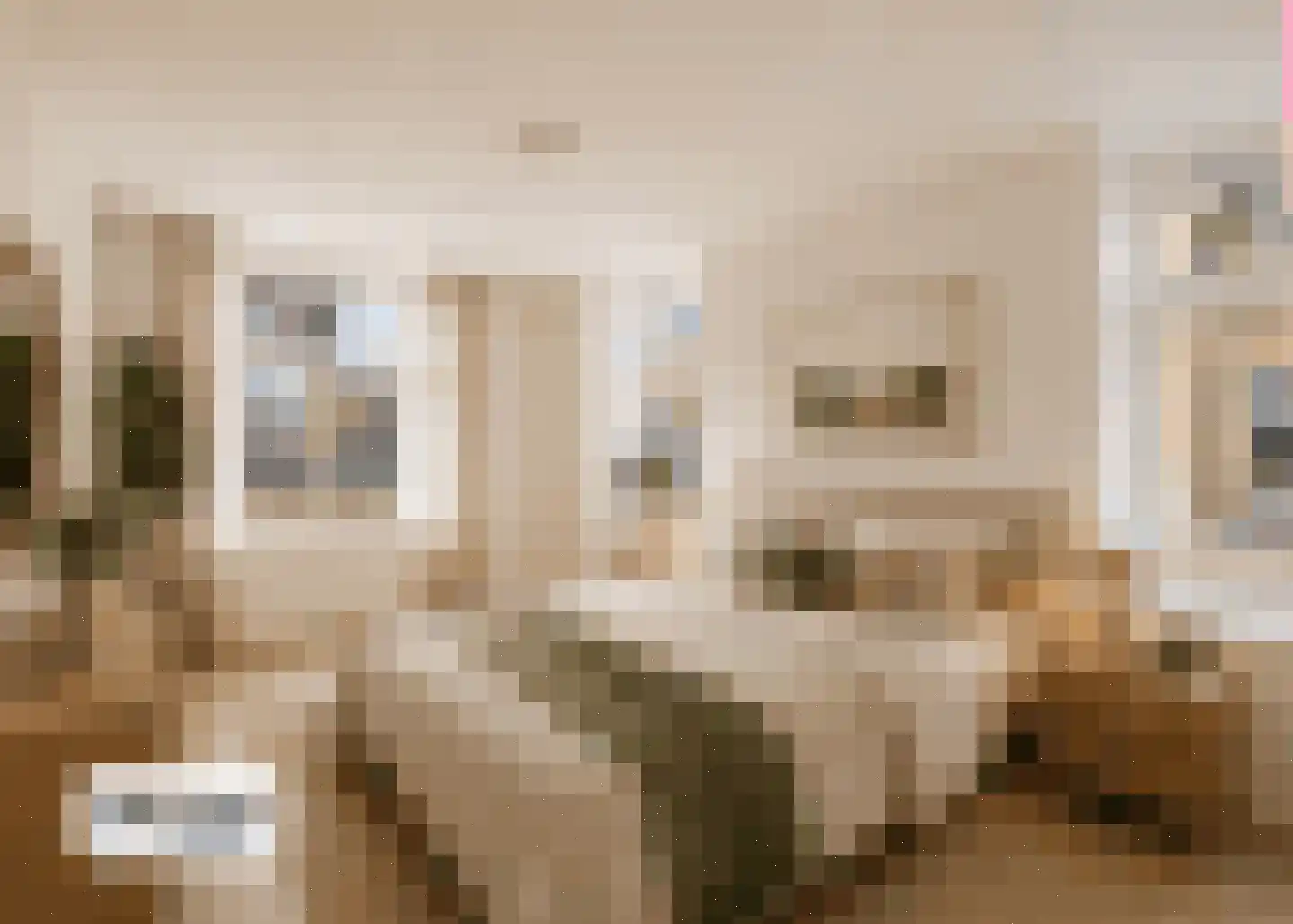 Plein 14 Zaamslag thumbnail 13