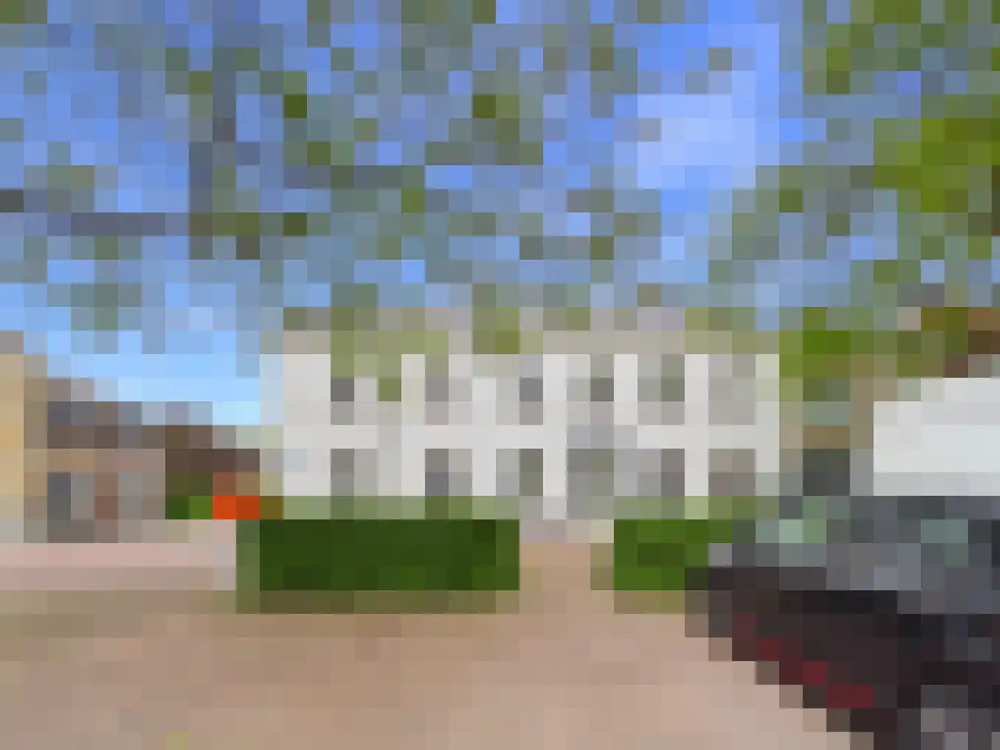 Plein 14 Zaamslag thumbnail 20