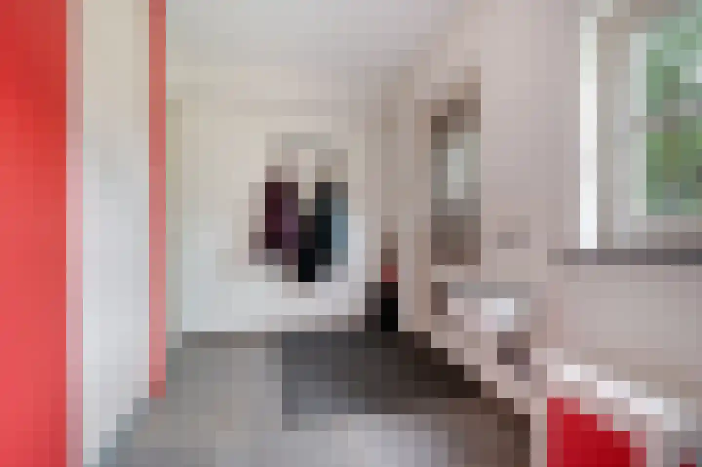 Plein 15 Schijndel thumbnail 18