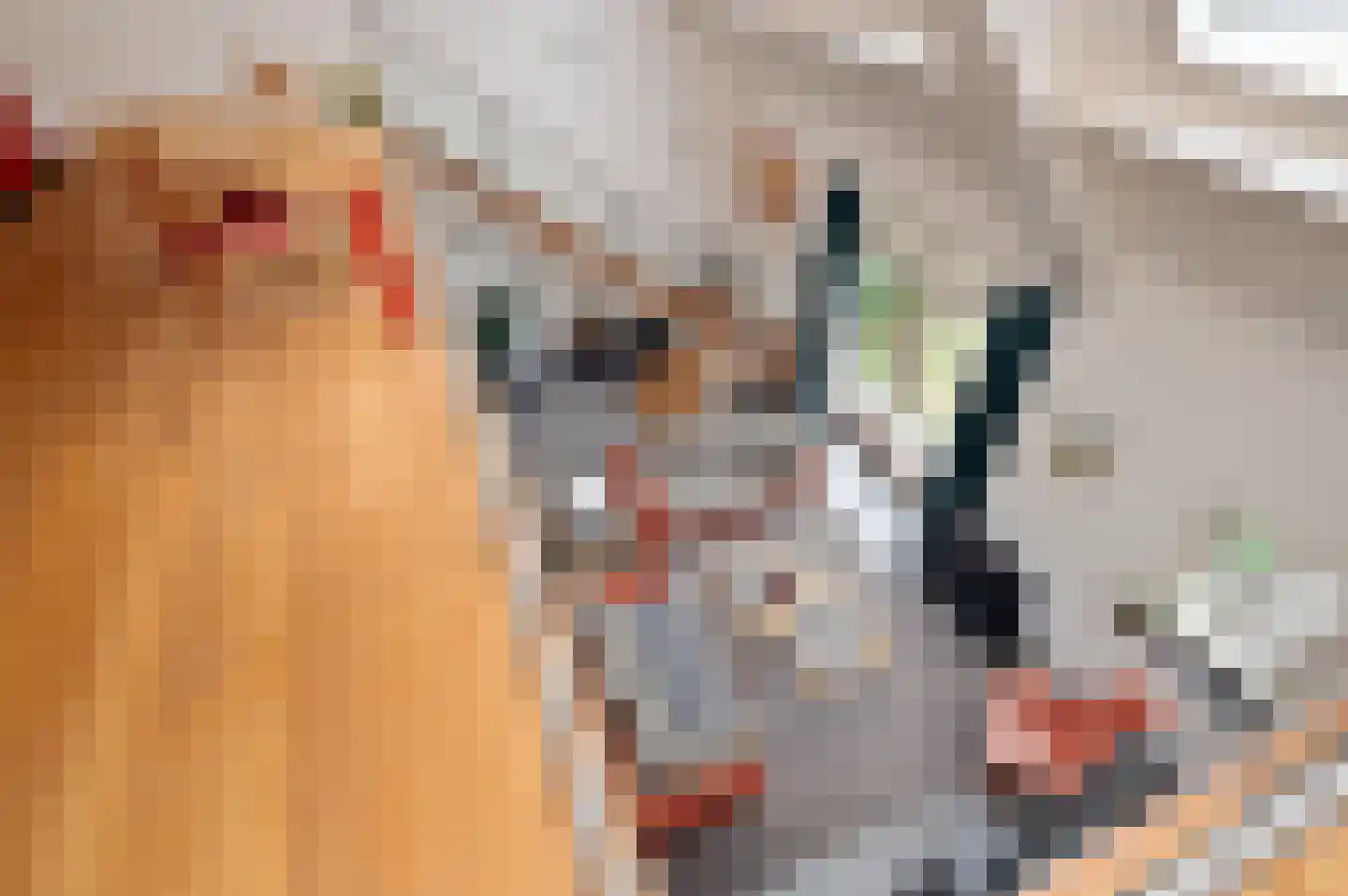 Plein 15 Schijndel thumbnail 28