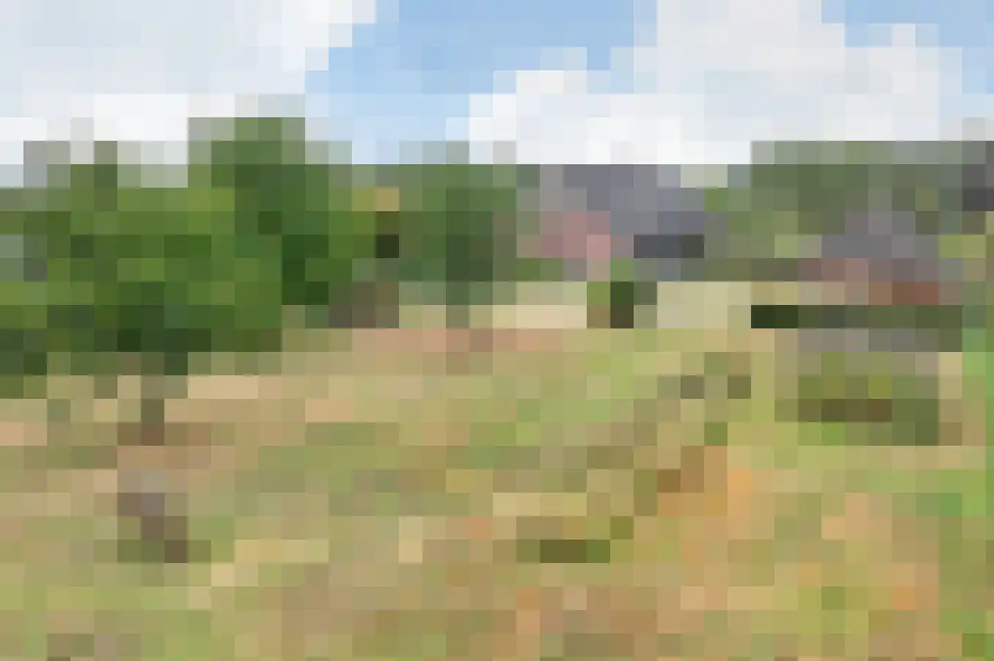 Plein 15 Schijndel thumbnail 43