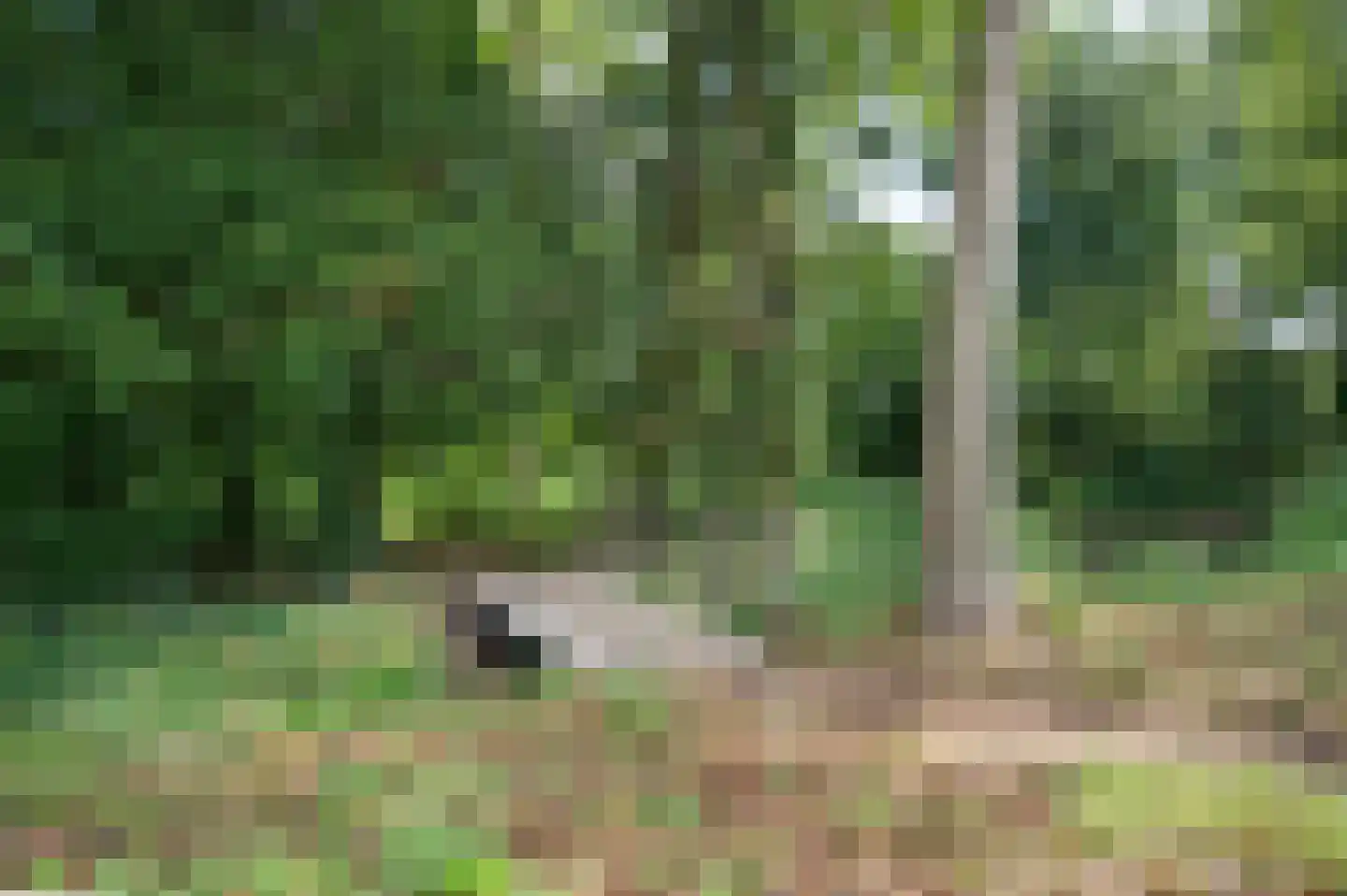 Plein 15 Schijndel thumbnail 51