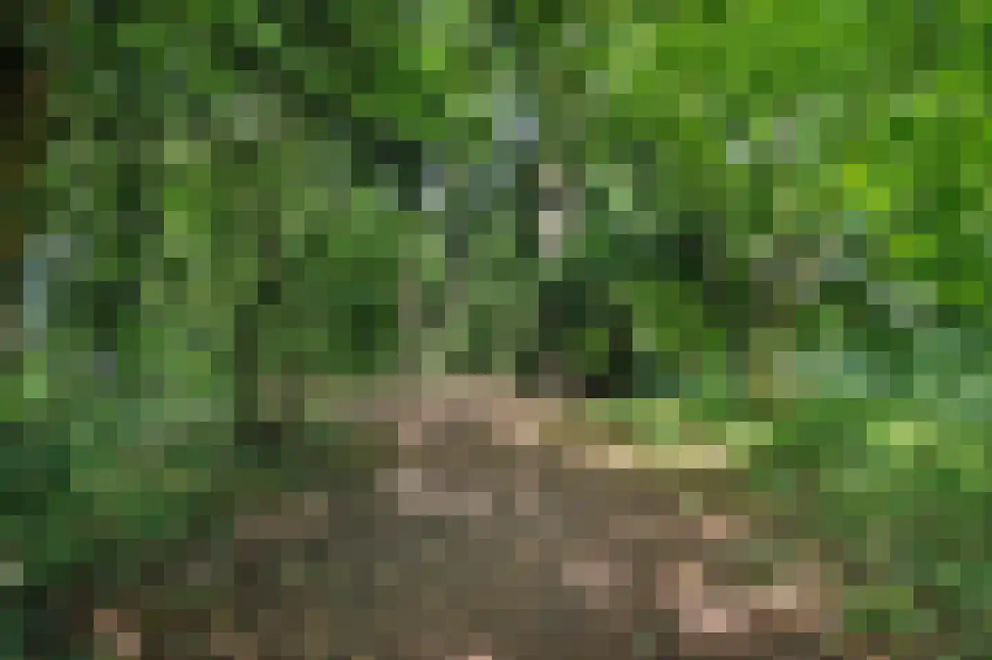 Plein 15 Schijndel thumbnail 52