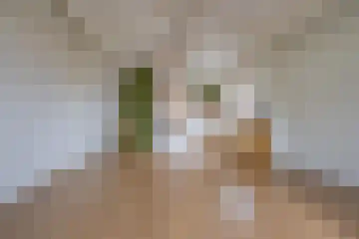 Plein 16 b Tiel thumbnail 10