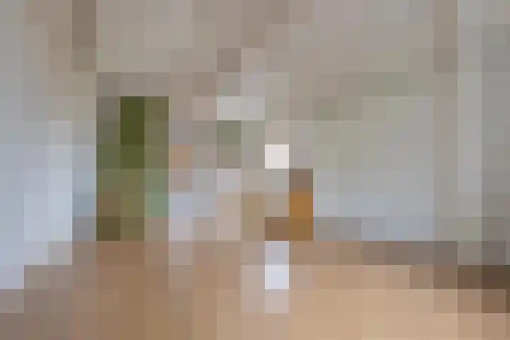Plein 16 b Tiel thumbnail 11
