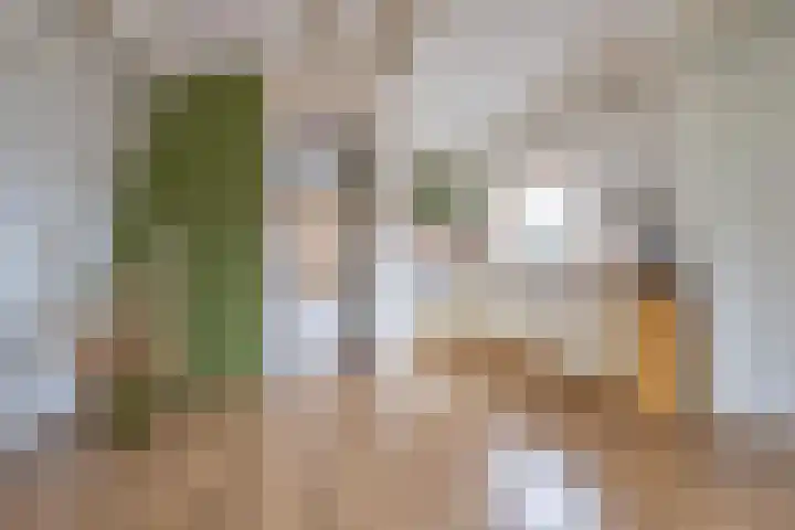 Plein 16 b Tiel thumbnail 12