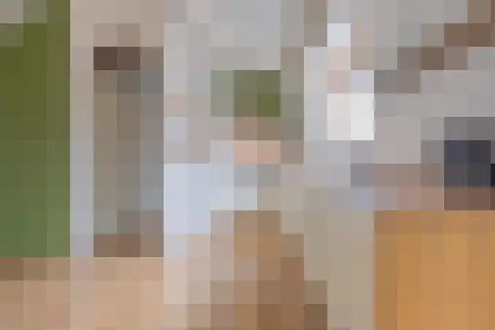 Plein 16 b Tiel thumbnail 13