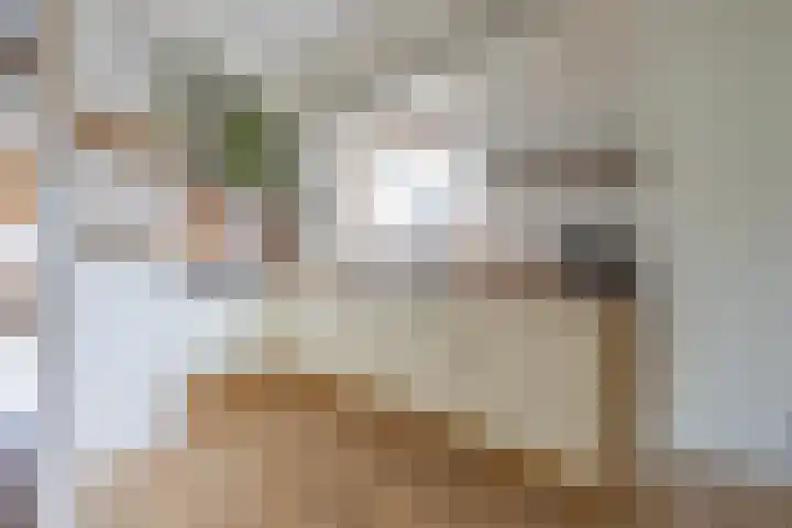 Plein 16 b Tiel thumbnail 14