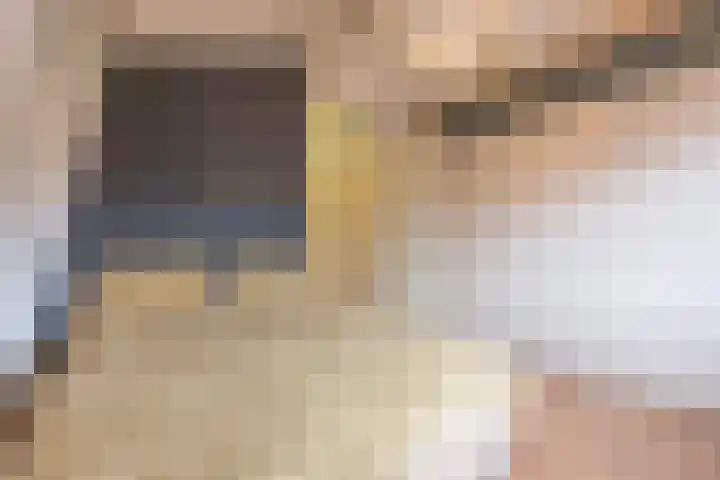 Plein 16 b Tiel thumbnail 23