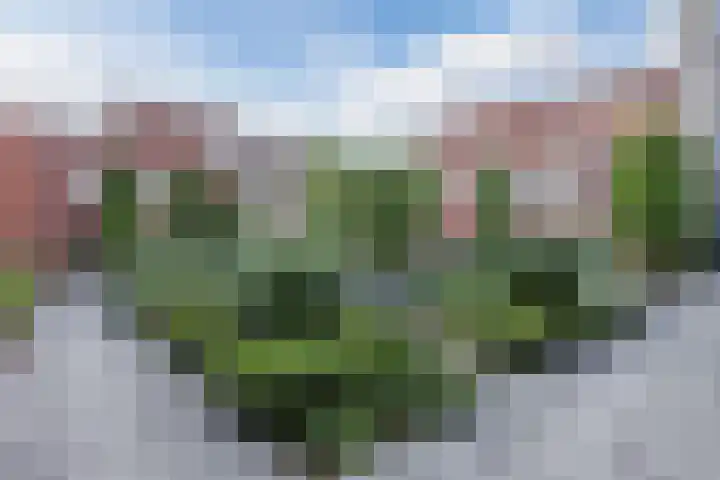 Plein 1944 1944 F Nijmegen thumbnail 36