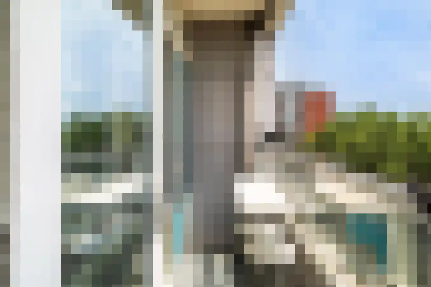 Plein 1953 172 Rotterdam thumbnail 13