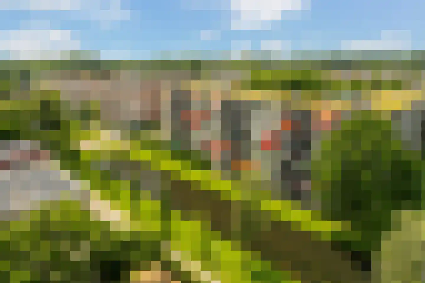 Plein 1953 172 Rotterdam thumbnail 16