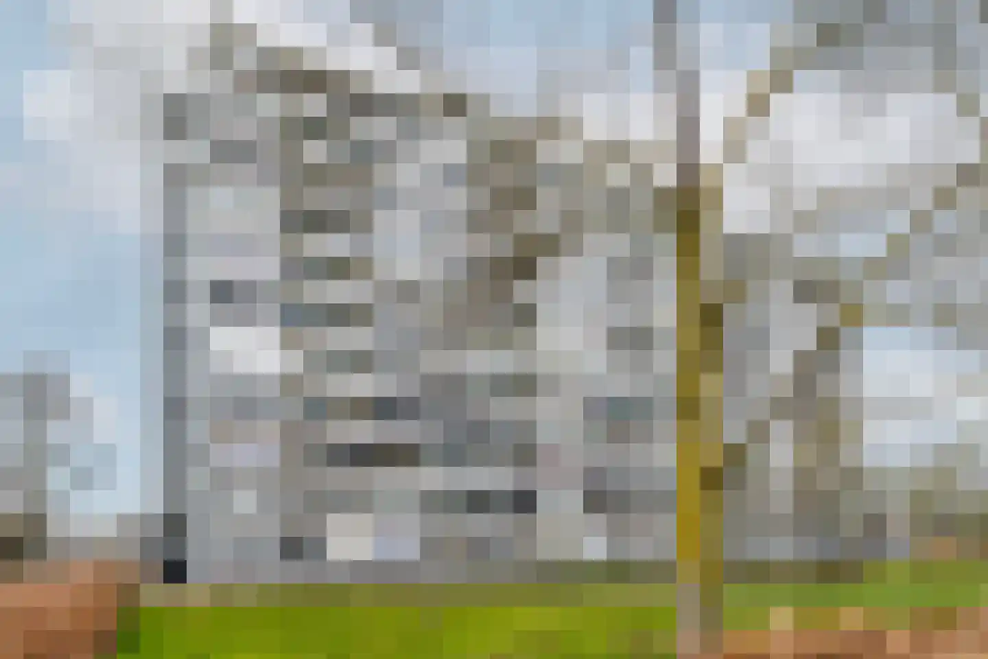 Plein 1953 1953 130 Rotterdam thumbnail 30