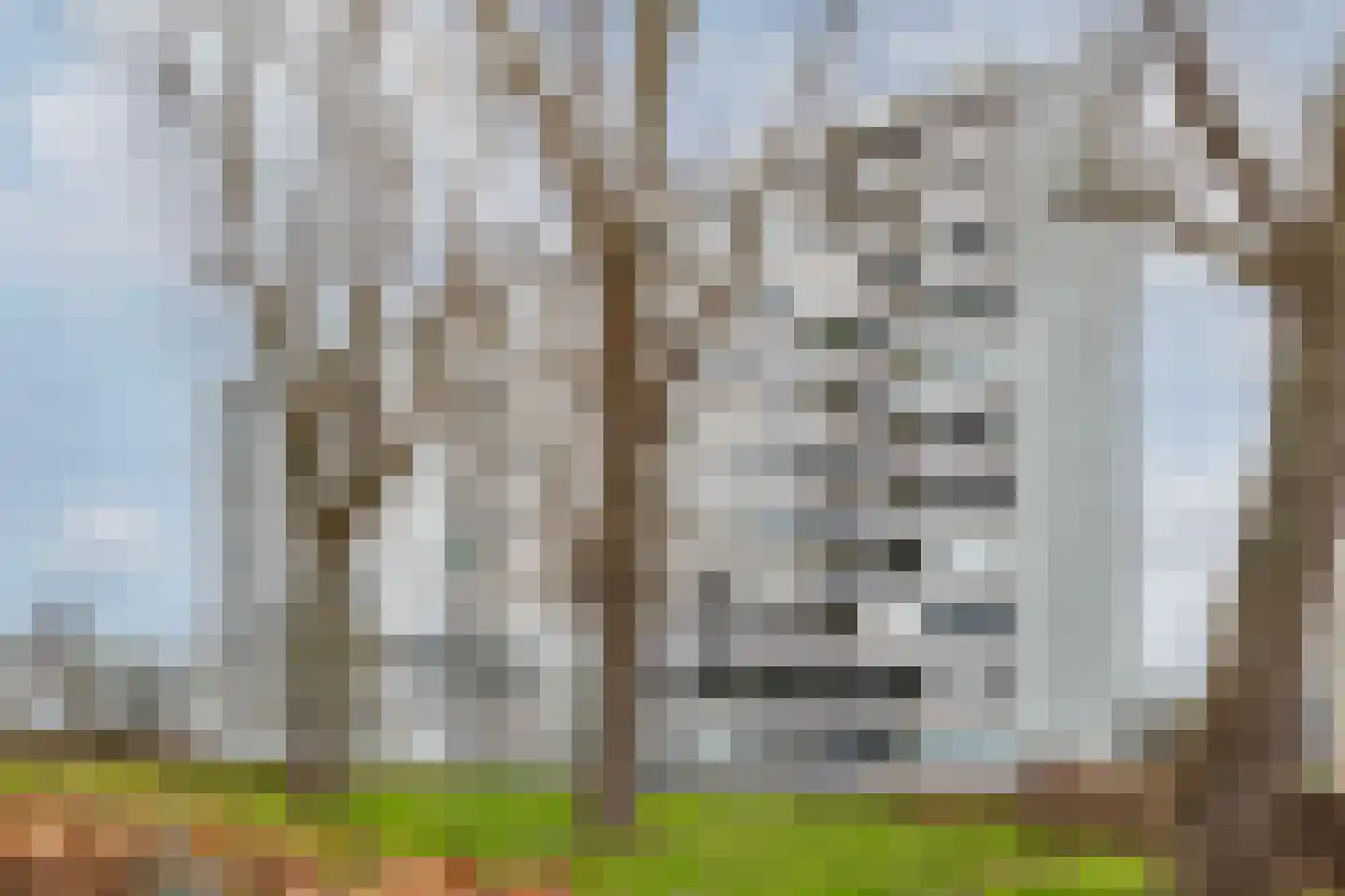 Plein 1953 1953 130 Rotterdam thumbnail 37