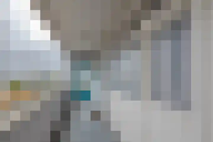 Plein 1953 1953 155 Rotterdam thumbnail 7