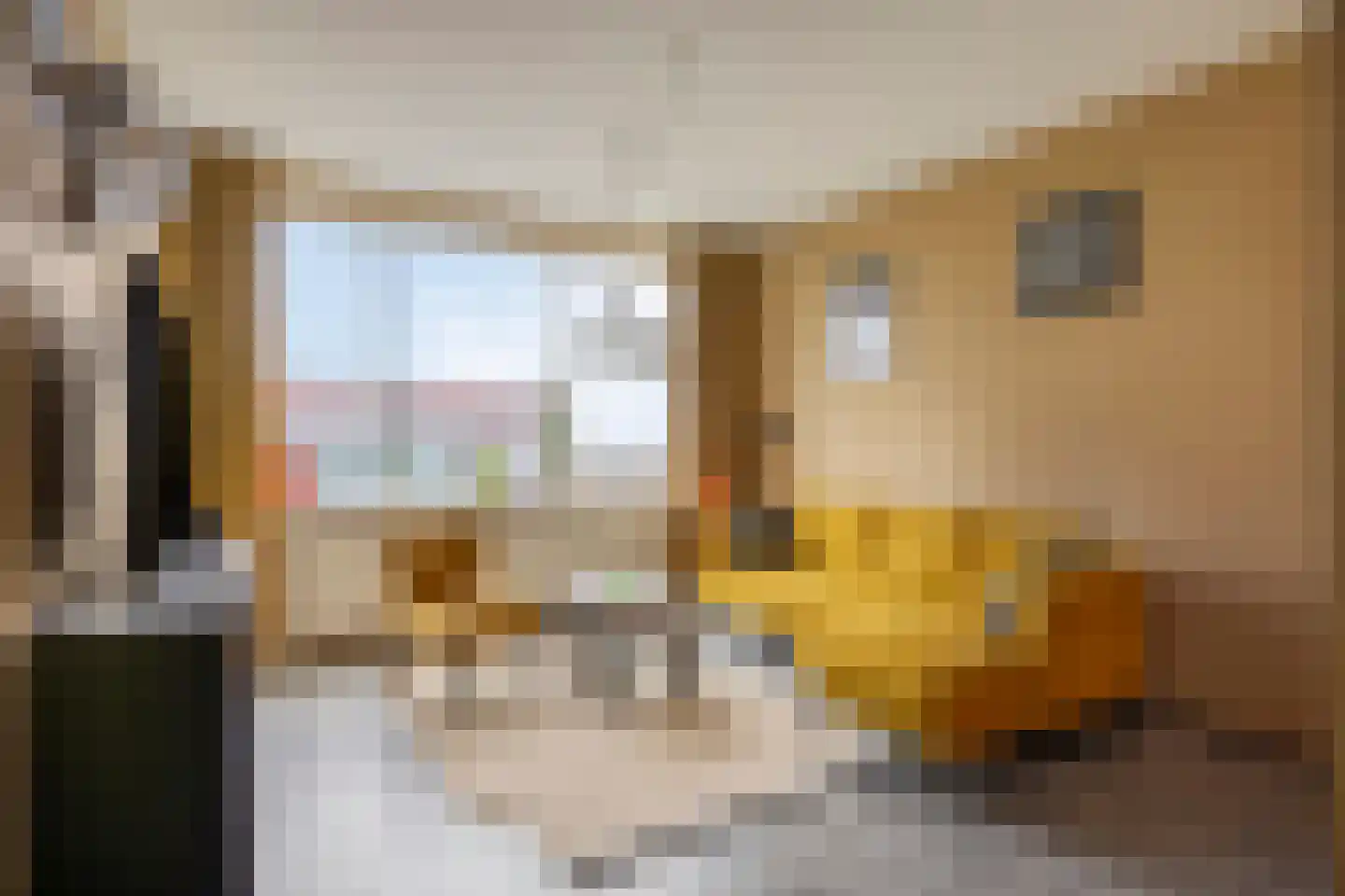 Plein 1953 1953 158 Rotterdam thumbnail 10