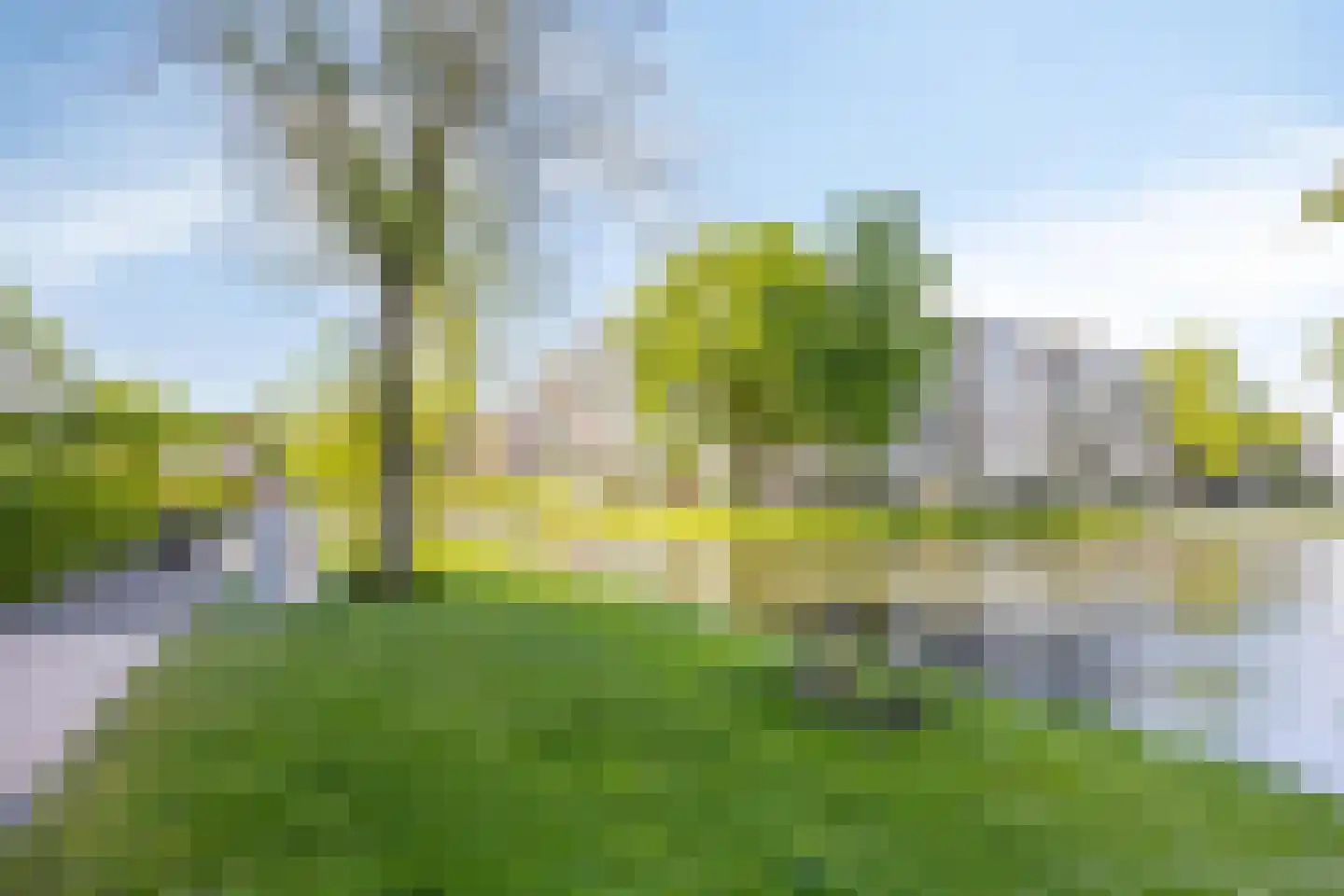 Plein 1953 1953 179 Rotterdam thumbnail 24