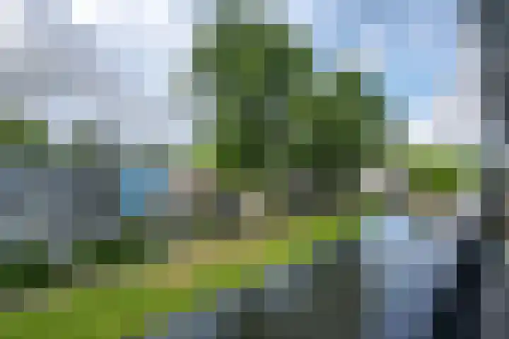 Plein 1953 1953 244 Rotterdam thumbnail 22