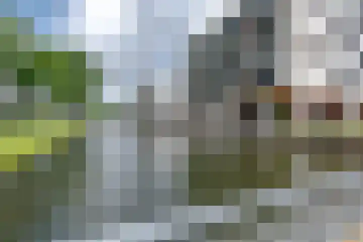 Plein 1953 1953 244 Rotterdam thumbnail 24
