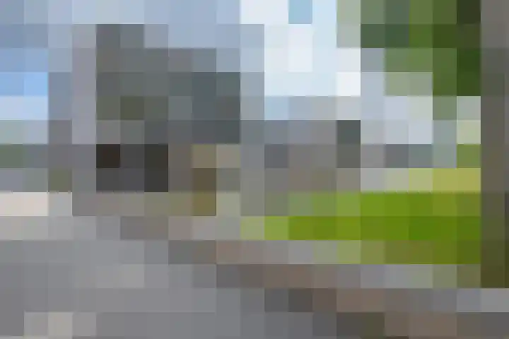 Plein 1953 1953 244 Rotterdam thumbnail 7