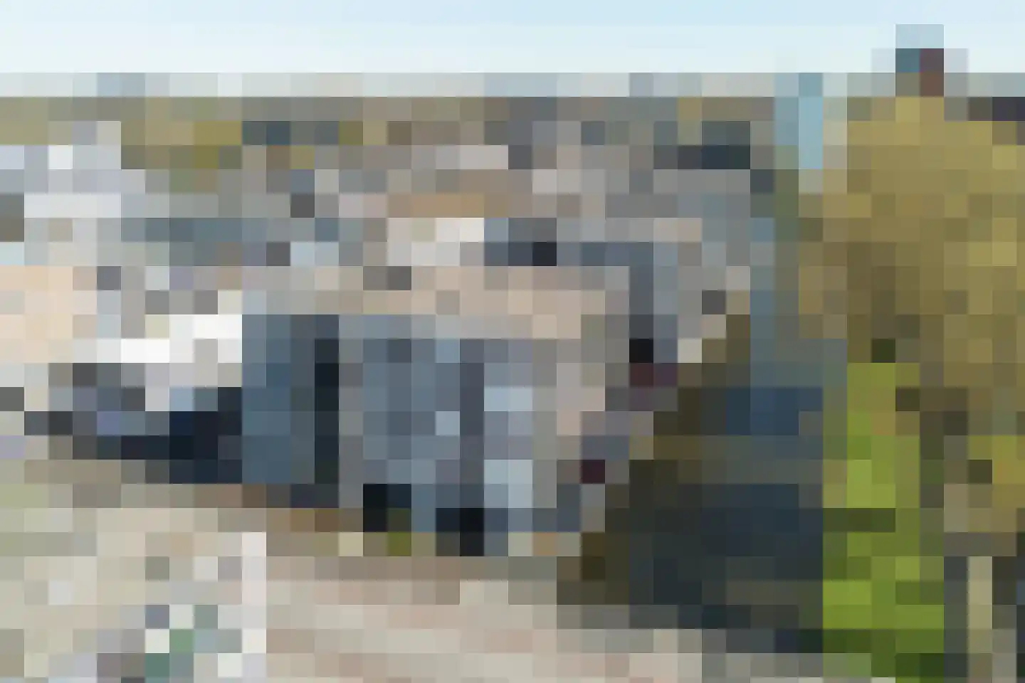 Plein 1953 1953 277 Rotterdam thumbnail 26