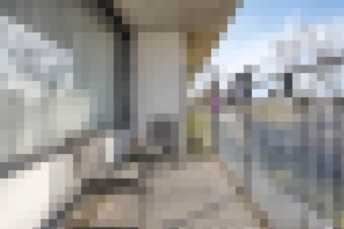 Plein 1953 1953 281 Rotterdam thumbnail 18