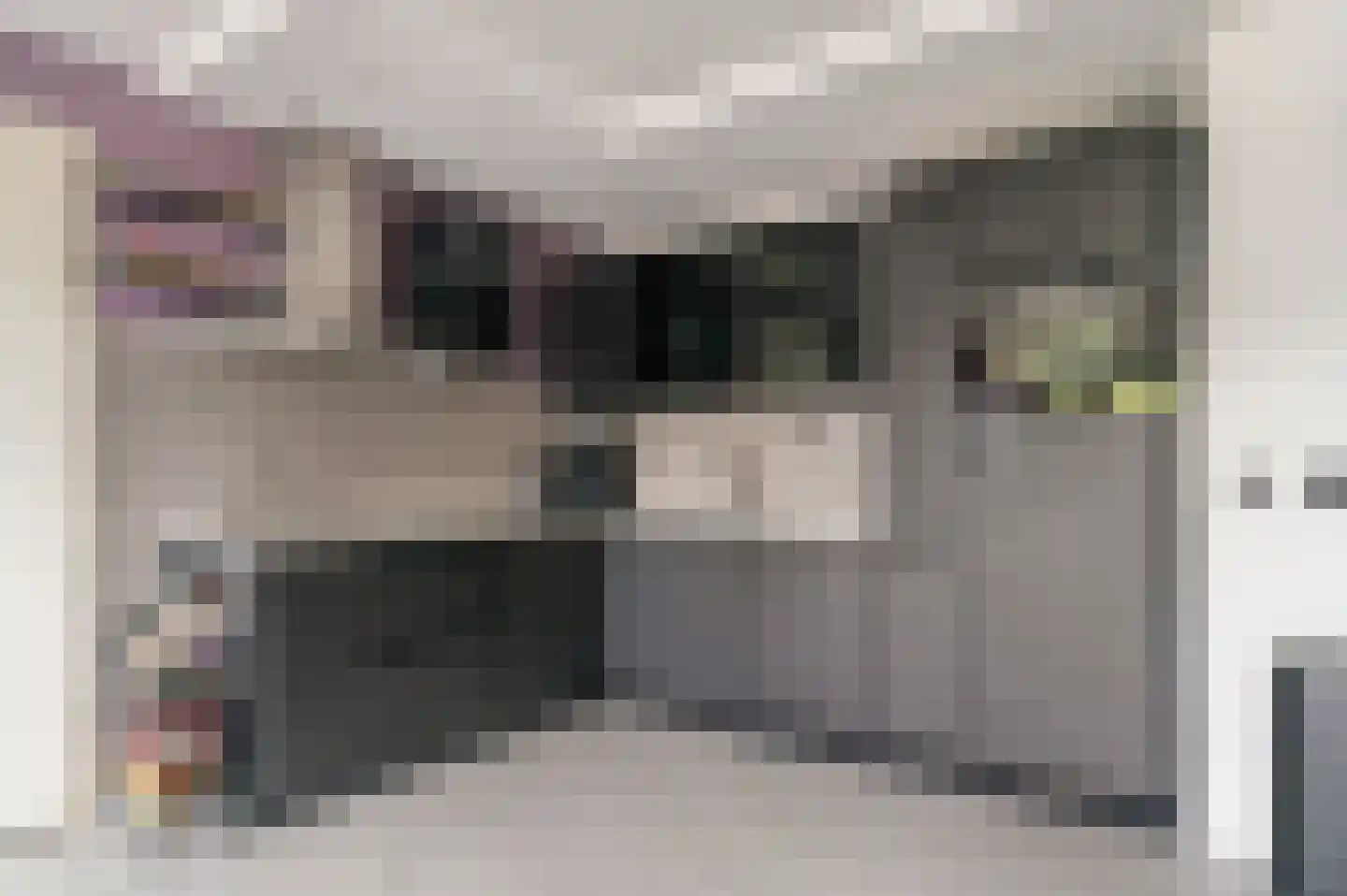 Plein 1953 220 Rotterdam thumbnail 14