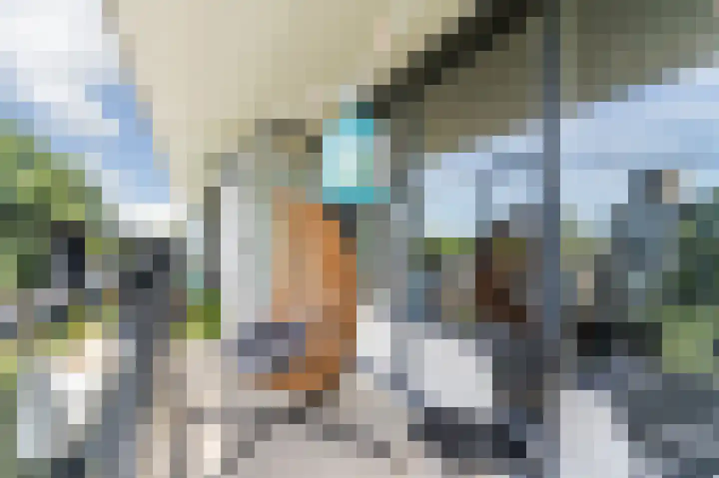 Plein 1953 220 Rotterdam thumbnail 24