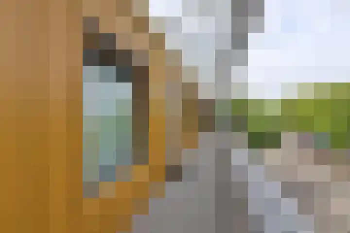 Plein 2000 119 Huizen thumbnail 14