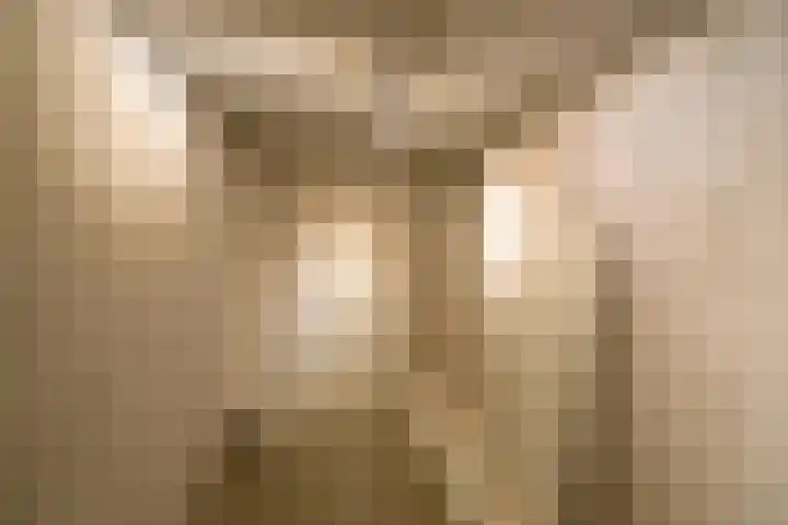 Plein 2000 2000 119 Huizen thumbnail 15
