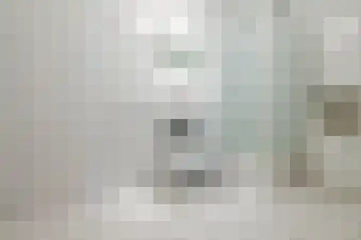 Plein 2000 2000 73 Huizen thumbnail 9